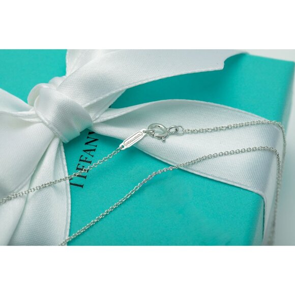 Tiffany & Co. Lion Necklace Save the Wild Lion Charm Pendant in Silver 16" Chain - Picture 8 of 8